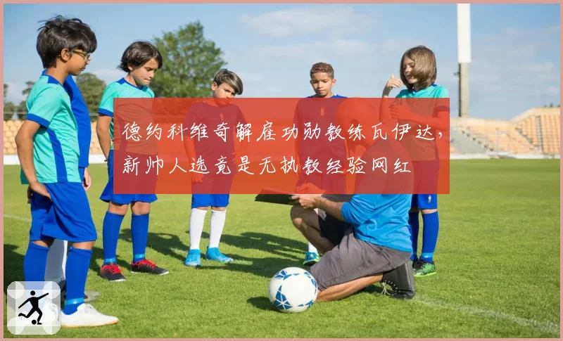 德约科维奇解雇功勋教练瓦伊达，新帅人选竟是无执教经验网红